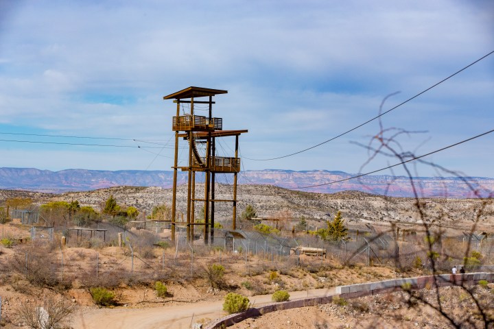 Two zip line towers connected by a suspension bridge