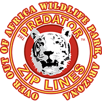 The Predator Zip Lines, Over Out of Africa Wildlife Park